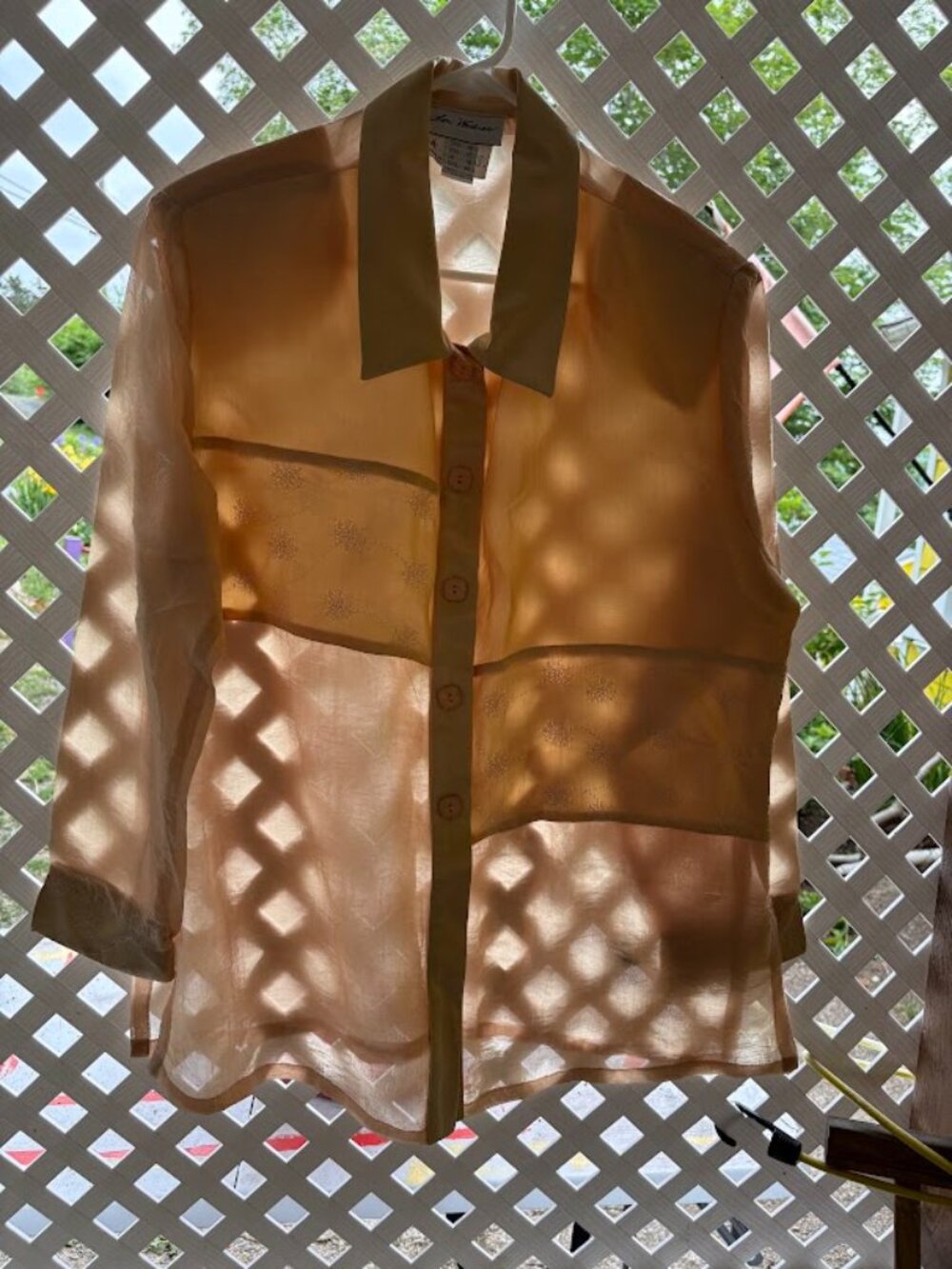 Lori Weidner Champagne Sheer Blouse | Size 16 | Made in Canada